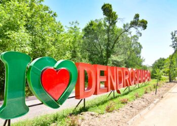 Шымкенттегі дендросаябақта 6,5 шақырым веложол салынады