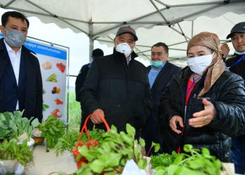 Өмірзақ Шөкеев Төлеби ауданындағы жаңа жобалармен танысты