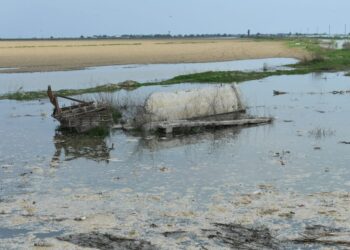 Мақтааралдағы жұмыс қарқыны жұмысшы топтың қадағалауында