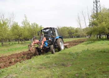 Мақтааралда өзбекстандық техникалармен шит себу басталды