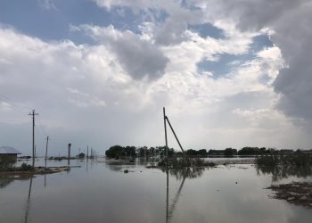 Мақтааралдағы төтенше жағдай: 4 ауылды су басқан