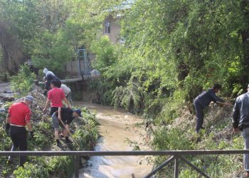 Төлеби ауданы: Сел салдары қалыпқа келтірілуде