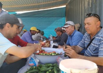 Жетісайлықтар жаңа үй құрылысын жүргізіп жатқан құрылысшыларды түскі аспен қамтыды