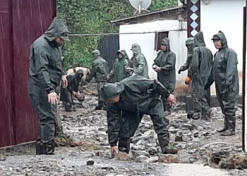 Шымкент: Елтайдағы сел салдары қалыпқа келтірілуде