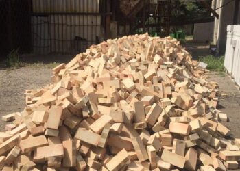 Мақтааралға Алматы облысынан екінші рет гуманитарлық көмек келді