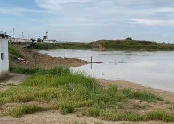 Сырдариядағы су тасқыны: зардап шеккендер үшін жедел желі іске қосылды