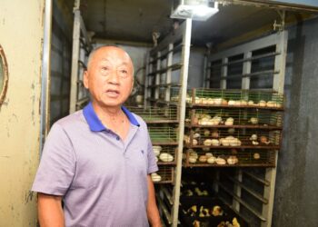 Шымкентте 4 айда 48 млн. дана жұмыртқа өндірілді