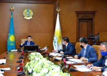 Шымкентте 2448 жер учаскесі мемлекет меншігіне қайтарылды