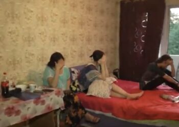 Шымкентте жеңгетай мен жеңіл жүрісті қыздар ұсталды