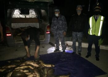 Оңтүстік өңірде 43 экологиялық қылмыс, 737 әкімшілік құқық бұзушылық анықталды