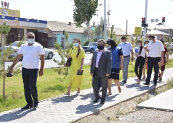 ТҮРКІСТАН: «NUR OTAN» ПАРТИЯСЫ ДӘРІХАНАЛАРҒА МОНИТОРИНГ ЖҰМЫСТАРЫН ЖҮРГІЗДІ