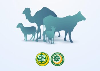 Құрбан айтқа игі істер амалы