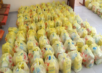 Ордабасы ауданында әлеуметтік себеттер таратылды