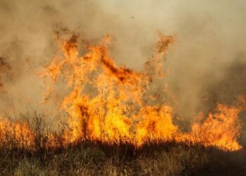 Дала өртінің кезеңі басталды