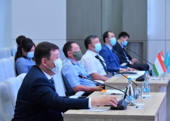 Түркістан облысында зорлық-зомбылықпен күресте ұлттық ведомствоаралық жүйенің тетіктері талқыланды