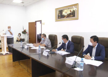 Әлеуметтік әріптестіктің әлеуеті