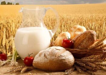 Әскери авиация ұшқыштары оқу-жаттығу жұмыстарын жүргізуде