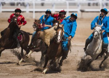Шымкентте жаңа ипподром құрылысы басталады