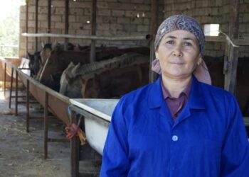 Түркістан: Кентаулық жалғыз басты ана мал бордақылаумен айналысады