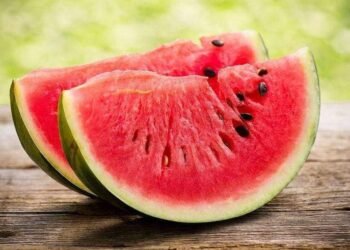 Түркістан: Жетісайлық диқандар 457 мың тоннадан астам қарбыз-қауын өндірді