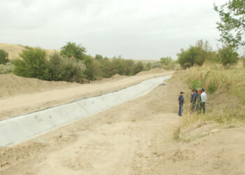 5064 гектар суармалы жер қайта айналымға қосылмақ