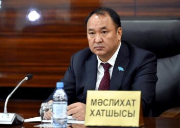 Праймериздің мақсаттары мен оны өткізудің кезеңдері