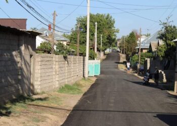 Сарыағаштықтарға мемлекеттік бағдарламаның шарапаты тиіп жатыр