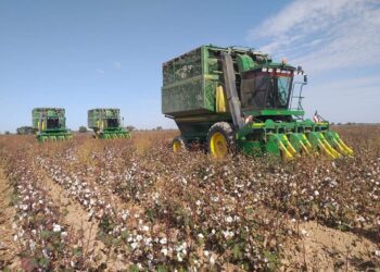 Түркістан: Ордабасы ауыл шаруашылығы саласының өнім көлемі 24 млрд. теңгеден асты