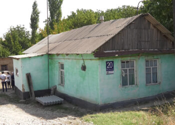 «Қамқорлықты» қажет етеді