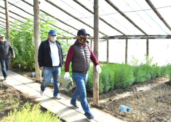 Жалпықалалық сенбілікке 30 мыңнан астам адам қатысты