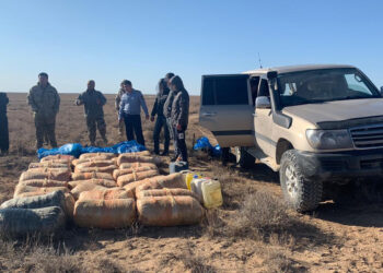Түркістан полицейлері есірткінің ірі партиясын тасымалдаушылардың жолын кесті