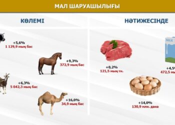 Түркістан облысында биыл 654 мың тонна ауыл шаруашылығы өнімі экспортталды