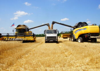 Нужно переходить на более понятные нацпроекты — Токаев