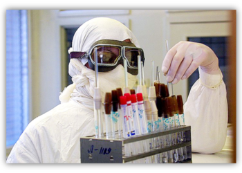 Шымкентте 2 адам сібір жарасын жұқтырды