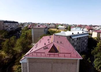 Шымкент: қала әкімі чемпиондарды марапаттады