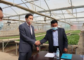 Шымкент: Асар шағынауданында 100 отбасы жұмыспен қамтылады