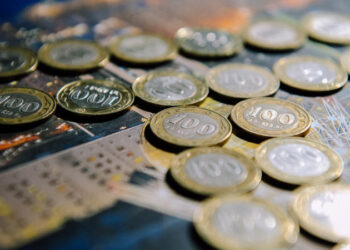 Жыл басынан бері көпбалалы аналар 171,2 миллиард теңге жәрдемақы алды