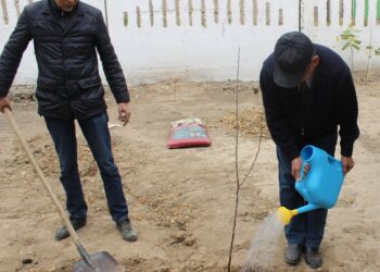 БАЛАЛАР ҮЙІНІҢ ТӘРБИЕЛЕНУШІЛЕРІНЕ АТАУЛЫ БАҚ