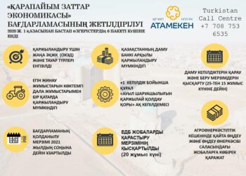 Түркістандық кәсіпкерлер «Қарапайым заттар экономикасы» бағдарламасының шарапатын көруде