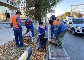 Шымкентте ирригациялық арықтарды тазалау жұмыстары жүргізілуде