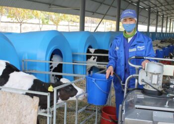 Түркістан: Ветеринариялық білім беру және қызмет көрсету орталығы ашылды