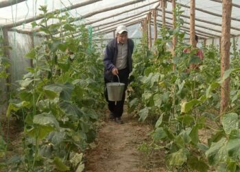 КЕЛЕСТІК «БАТЫР ӘКЕ» ЖЫЛЫЖАЙ ІСІН ӨРКЕНДЕТУДЕ