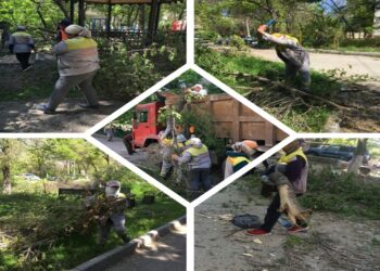 Шымкент: Абай ауданында 150 дана жаңа контейнер орнатылды