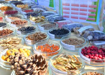 ШЫМКЕНТ ӘКІМІ ҚАЛАНЫҢ ЖАСЫЛ БЕЛДЕУІМЕН ТАНЫСТЫ