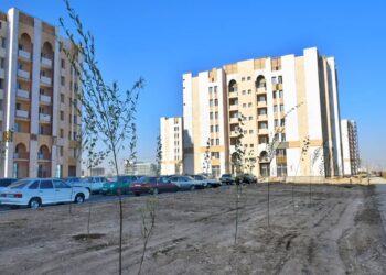 ДЕНДРОСАЯБАҚ ҚҰРЫЛЫСЫНА 400 ЖҰМЫСШЫ ТАРТЫЛҒАН