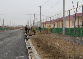 ЖАҢА МӨЛТЕК АУДАНДА КӨШЕТТЕР ЕГІЛУДЕ