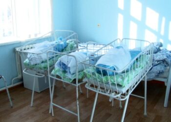 Түркістан: Келес ауданында төртінші үшем дүниеге келді