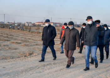 Түркістан 32 секторға бөлінді