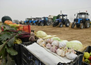 Түркістан облысында жыл басынан бері 706,1 мың тонна өнім экспортталды