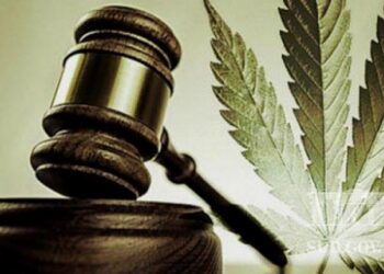 Есірткіге – жоқ, де!